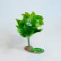 Preview: Lucky Reptile Golden Pothos auf Steinsockel